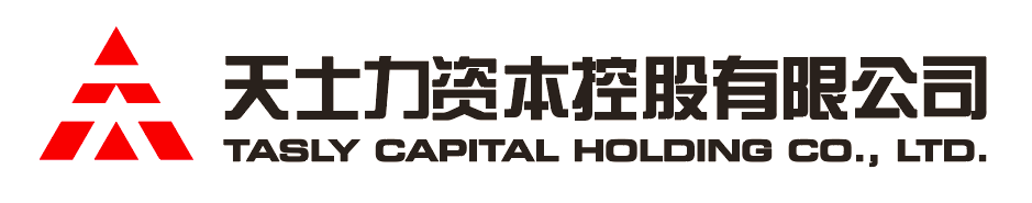 PT视讯资本控股有限公司